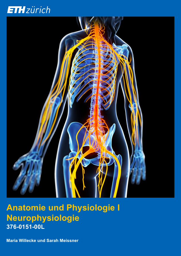 Cover image for Anatomie & Physiologie I - Neurophysiologie