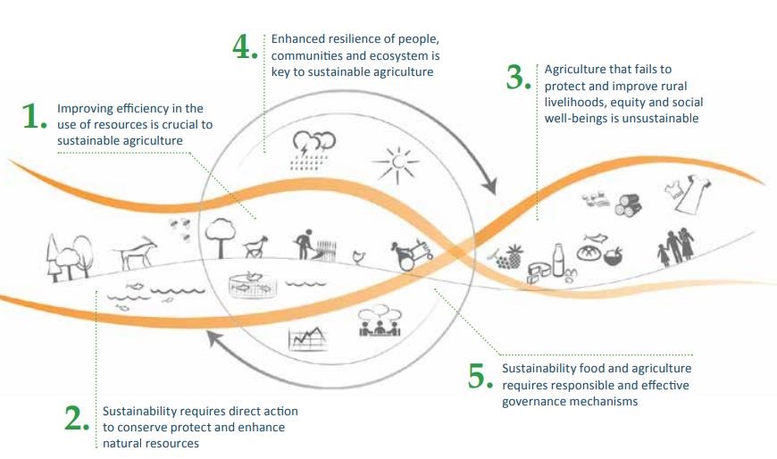 Digital Agriculture For Achieving Sustainable Development Goals – The ...