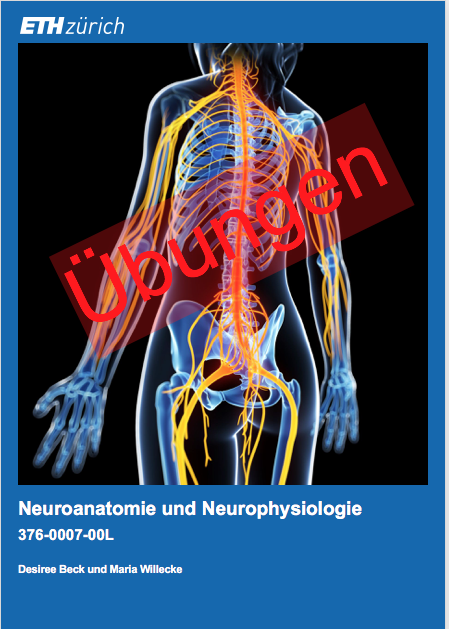 Cover image for Vertiefung Neuroanatomie & Neurophysiologie - Übungen