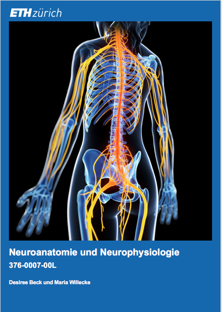 Cover image for Vertiefung Neuroanatomie & Neurophysiologie